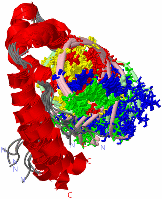 Image NMR Structure - all models