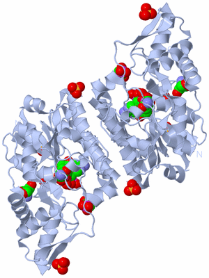 Image Biological Unit 1