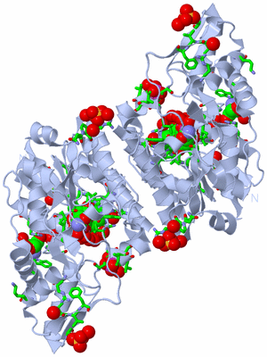 Image Biol. Unit 1 - sites