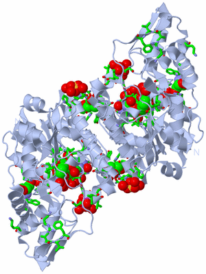 Image Biol. Unit 1 - sites