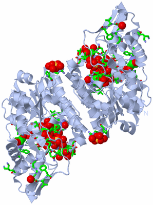 Image Biol. Unit 1 - sites