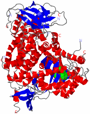 Image Asym./Biol. Unit