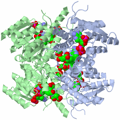 Image Biological Unit 1