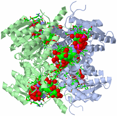 Image Biol. Unit 1 - sites