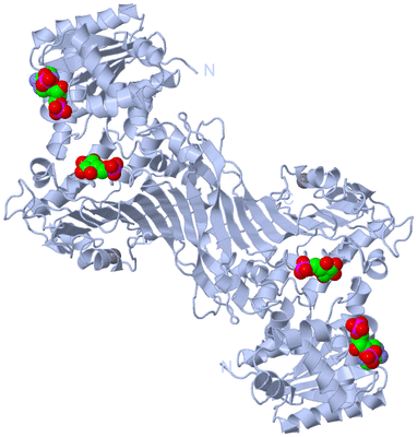 Image Biological Unit 1