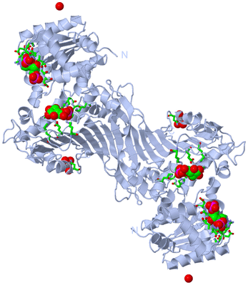 Image Biol. Unit 1 - sites