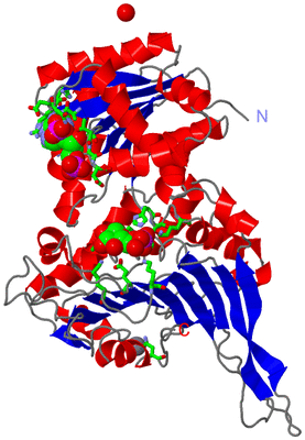 Image Asym. Unit - sites