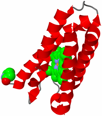 Image Asymmetric Unit