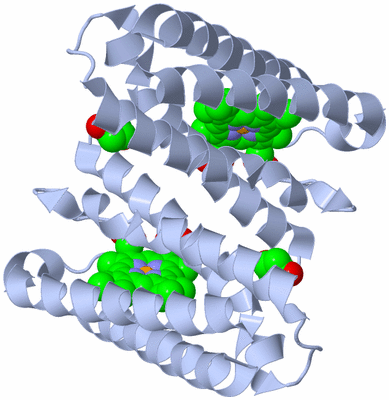 Image Biological Unit 1