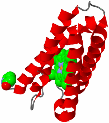 Image Asymmetric Unit