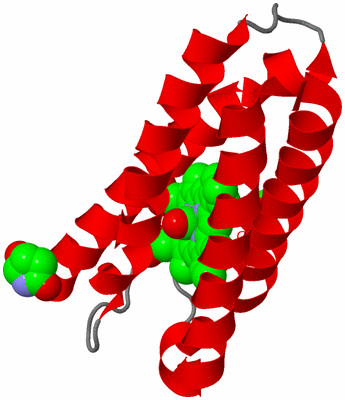 Image Asymmetric Unit