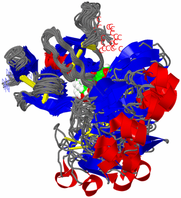 Image NMR Structure - all models