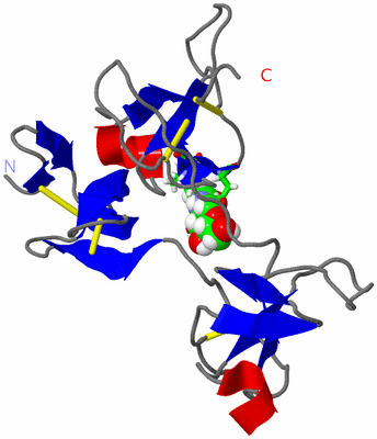 Image NMR Structure - model 1, sites