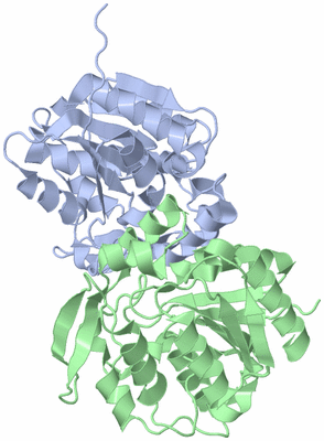 Image Asymmetric Unit