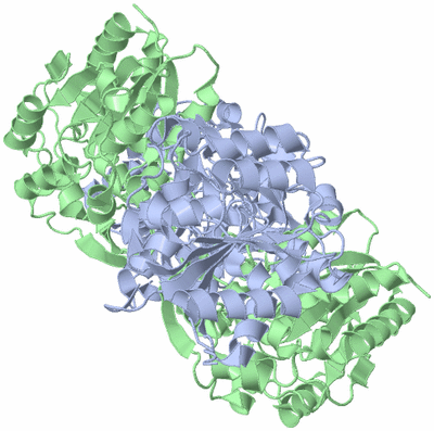 Image Biological Unit 1