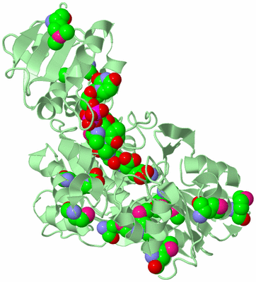 Image Biological Unit 2