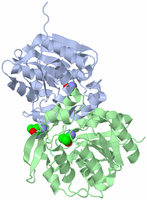 Image Asymmetric Unit