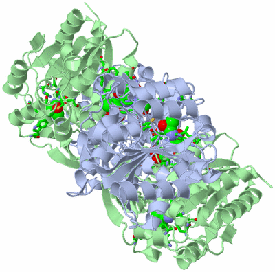 Image Biol. Unit 1 - sites