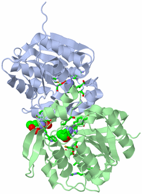 Image Asym. Unit - sites