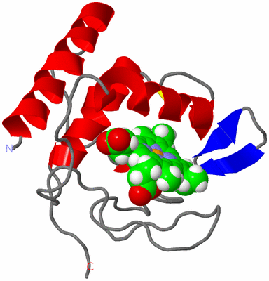 Image NMR Structure - model 1