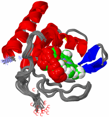 Image NMR Structure - all models