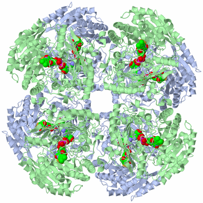 Image Biological Unit 1