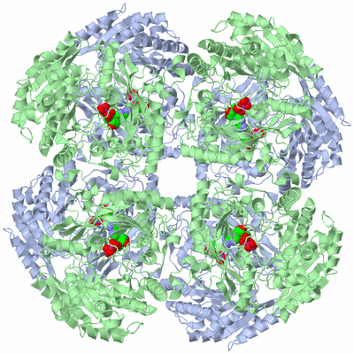 Image Biological Unit 1