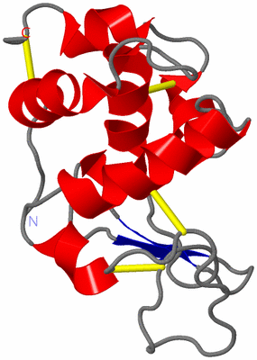 Image NMR Structure - model 1