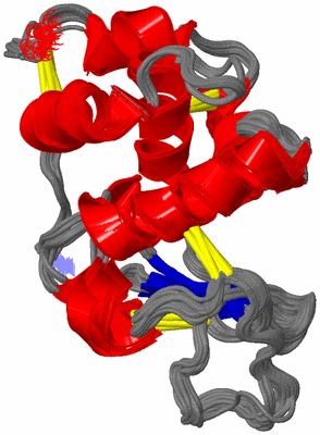 Image NMR Structure - all models