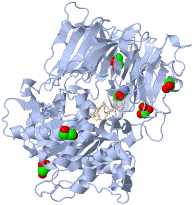 Image Asym./Biol. Unit