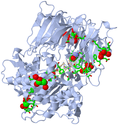 Image Asym./Biol. Unit - sites