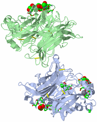 Image Asym./Biol. Unit - sites