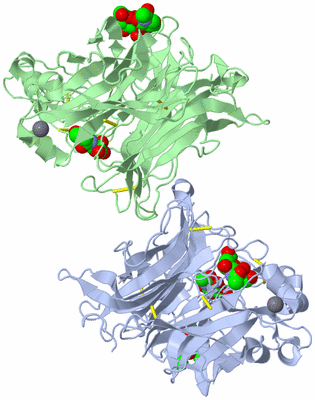 Image Asym./Biol. Unit