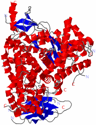 Image Asym./Biol. Unit