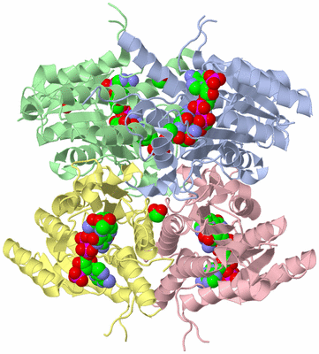 Image Asym./Biol. Unit