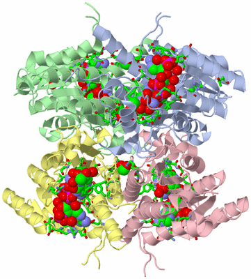 Image Asym./Biol. Unit - sites