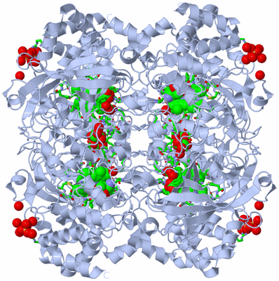 Image Biol. Unit 1 - sites