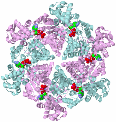 Image Biological Unit 3