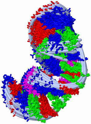 Image NMR Structure - all models