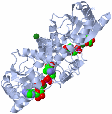 Image Biological Unit 1