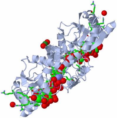 Image Biol. Unit 1 - sites