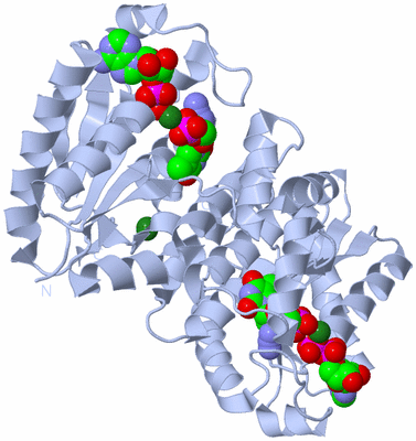 Image Biological Unit 1