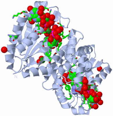 Image Biol. Unit 1 - sites