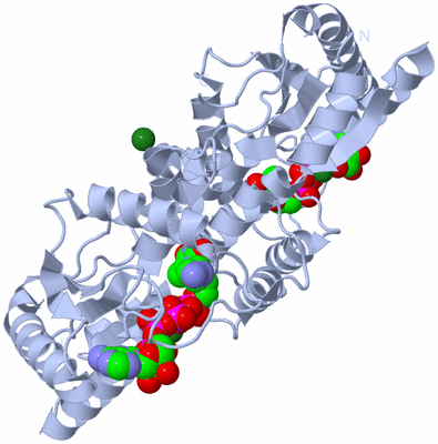 Image Biological Unit 1