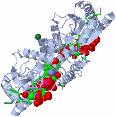 Image Biol. Unit 1 - sites