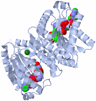 Image Biological Unit 1