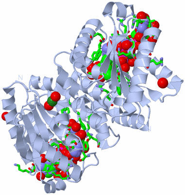 Image Biol. Unit 1 - sites