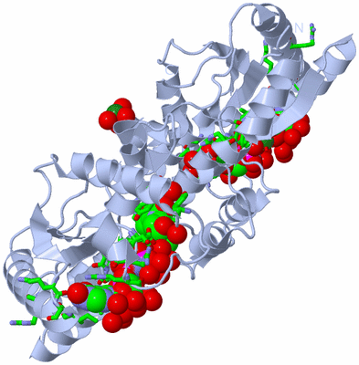 Image Biol. Unit 1 - sites