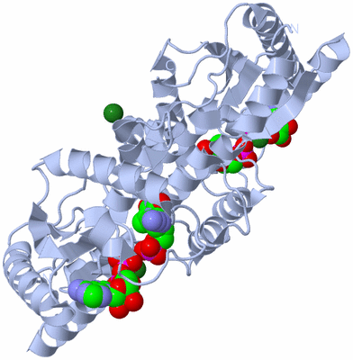 Image Biological Unit 1