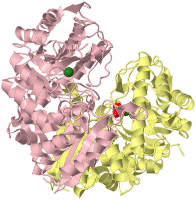 Image Biological Unit 2